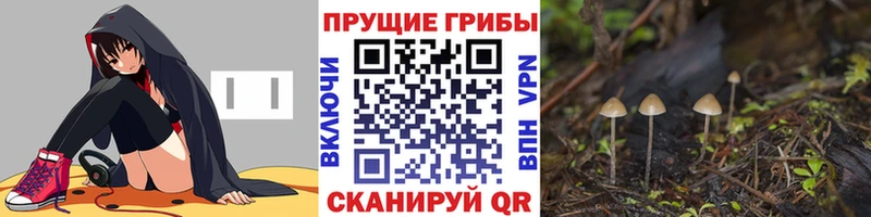 Галлюциногенные грибы прущие грибы  Кондрово 